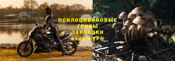 экстази Богородицк